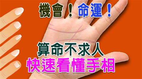 手指長短 代表|【算命不求人】快速看懂手相